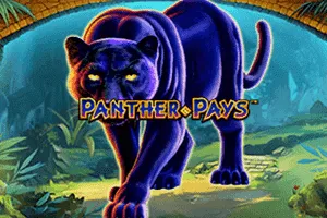 Panther Pays - IDAGENT138